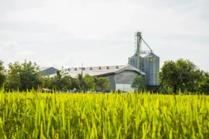 Talewad agro industries infrastructure